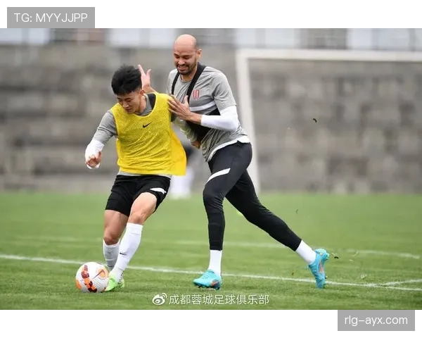 格纳布里状态稳健,技术与战术融合助力球队迎战新赛季 格纳布里状态稳健,技术与战术融合助力球队迎战新赛季